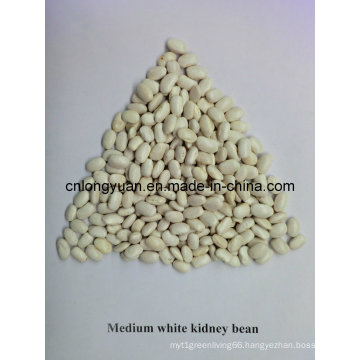 Good Quality Chinese Medium White Kidney Bean